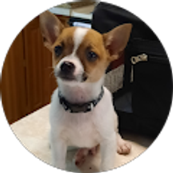 Profile photo of Kasey Wylin