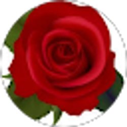 Profile photo of Nikki