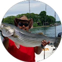 Profile photo of Shane Harper