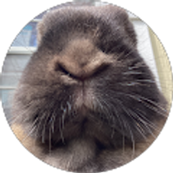 Profile photo of Alexandra Bartholomew