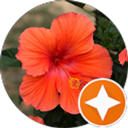 Profile photo of Jennifer Guevara