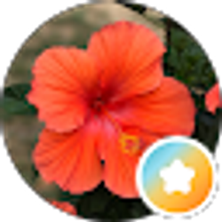 Profile photo of Jennifer Guevara