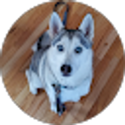 Profile photo of Canh Le
