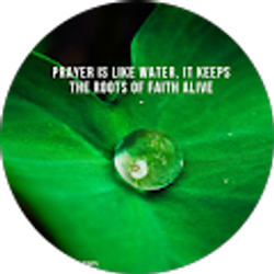 Profile photo of Yusuf Hakim