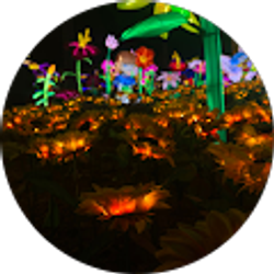 Profile photo of Tatiana