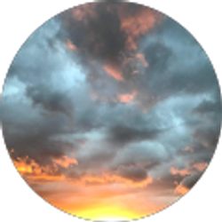 Profile photo of Terren Gravelle