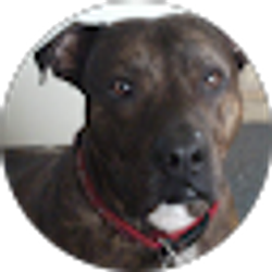 Profile photo of Cathy Shaffer