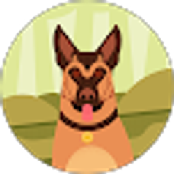 Profile photo of Dana Moore