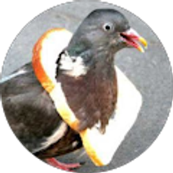 Profile photo of Sydney Martin