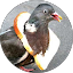 Profile photo of Sydney Martin