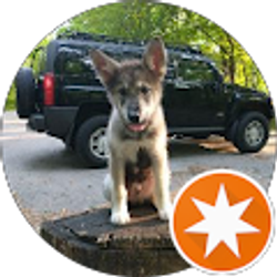 Profile photo of Benjamin Shearer