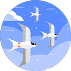 Profile photo of Bs M