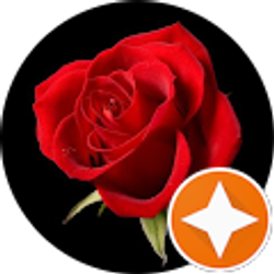 Profile photo of H. Rachel Revell