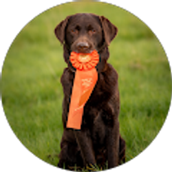 Profile photo of Avery Luttropp