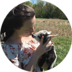 Profile photo of Somairah Depreste