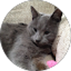 Profile photo of Kirsten Wendland