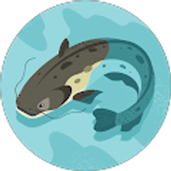 Profile photo of S W