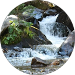 Profile photo of Richard Baker