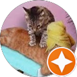 Profile photo of Terra Irving