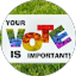 Profile photo of Ellen Levy