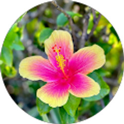 Profile photo of Mari G.