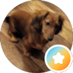Profile photo of Shona Baker