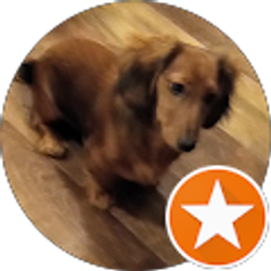 Profile photo of Shona Baker