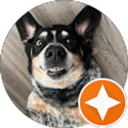 Profile photo of ali rochette