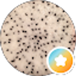 Profile photo of Julie Stanwick