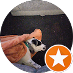 Profile photo of Patricia Durkin