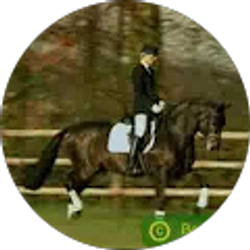 Profile photo of henryandneo