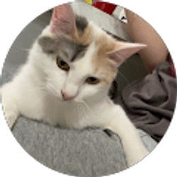 Profile photo of Sydney Evans