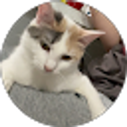 Profile photo of Sydney Evans