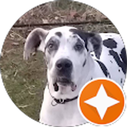 Profile photo of Dane Lady