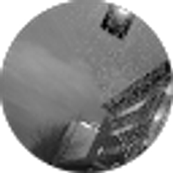 Profile photo of Sashyyy Byrnae
