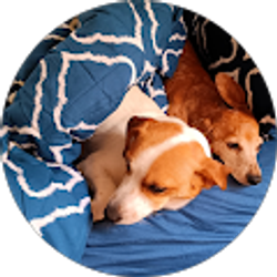 Profile photo of Mary Jo Parker