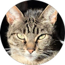 Profile photo of karen peralta