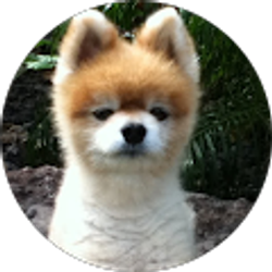 Profile photo of Rexene Doty