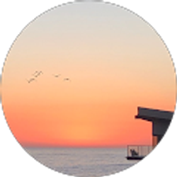 Profile photo of Sam Salem