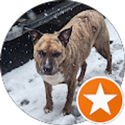 Profile photo of Martin Shockey