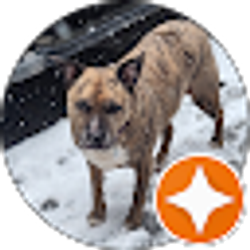 Profile photo of Martin Shockey