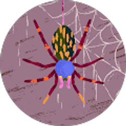 Profile photo of Chloe Patterson