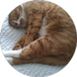 Profile photo of Arcelia Ozuna Wong