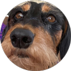 Profile photo of Ella white