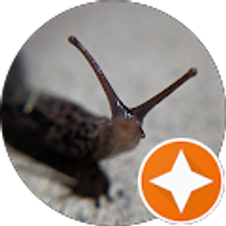 Profile photo of Michael Hearld