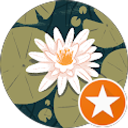 Profile photo of America Altman