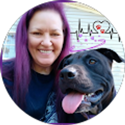 Profile photo of Shannon Bowman