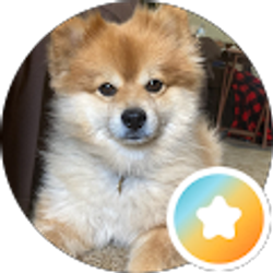 Profile photo of Irma