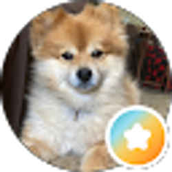 Profile photo of Irma