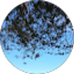 Profile photo of Good Vibes